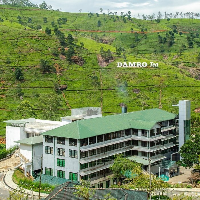 Damro Tea Estate