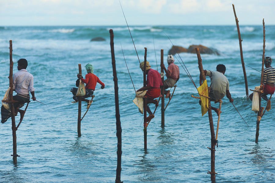 Stilt Fishermen